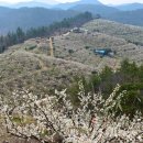 대화농장 이미지