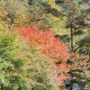 세창모터스 이미지