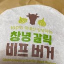 맥도날드 창녕갈릭버거 내돈내산 맛 후기