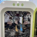 진이네 강아지풀 이미지