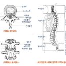 척주로 이미지