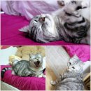 난곡동-2 이미지