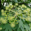 한스행정사사무소 이미지