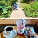 매화마름 제빵소 네이버블로그
