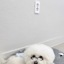 인화미용실 네이버블로그