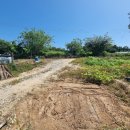 여주-1031 이미지