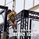 [경기도 여행] 수원 대형 키즈카페 챔피언 1250 판타지움 영통점