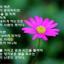 인연 이미지