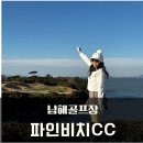 그린(224) | 전라도 남해골프장 파인비치CC 코스상태 및 그늘집, 식사 후기