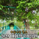 지에스(GS)25울산동강병원점 | 부산에서 울산 태화강국가정원 모네의다리 등나무꽃 위치 가볼만한 곳