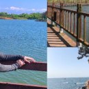 금평공원 이미지