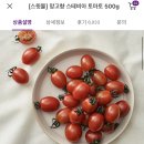 아니 토망고 가격 무슨일이야?? 이미지