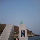 하니와 Daum카페