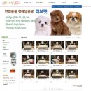 관악 오케스트라(야간) | 고양이장례식 금천구 반려견화장터 마포구 반려묘화장장 관악구 반려동물장례식장은 허가업체 러브펫
