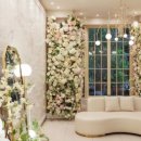 팔레드시즈 이미지