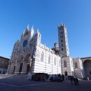 (주)세기운수 | 이탈리아 토스카나 와이너리 투어 (주)메이크마이데이투어스 꼼꼼후기