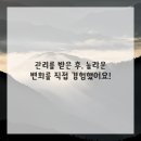 피부정원 이미지