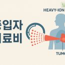 ‘매년·회당 평생보장’ 중입자치료담보 사라진다… 금감원, 판매중단 권고 이미지