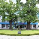 동림정비 이미지