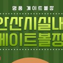 안산시실내게이트볼장 이미지