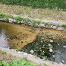 김기현정형외과의원 이미지