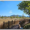 문양역길 이미지