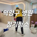365정기청소덕양