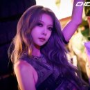 다미(Dami) - 양천구 | 다미(Dami)