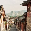 코자자 이미지
