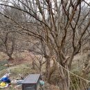 병순농장 이미지