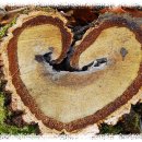 대전둘레산길(2구간) 이미지