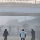 안성맞춤 A구장 | 원 FC 11월 30일 조기축구 후기