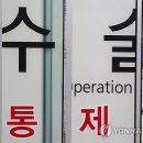 투연