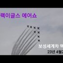 블랙이글스 에어쇼🧨(보성세계차축제에서) 이미지