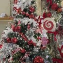 프리카페 이미지