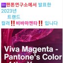 큐사랑염색 이미지