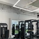 STEADY FIT 이미지