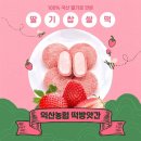 기찰떡방앗간 | 2023.03.14 익산농협떡방앗간 덕질(?)후기