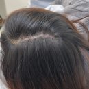 특별한 날엔 꾸밈