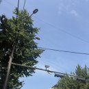 종로-신교-종로-신-333 | 경복궁 안주마을 평일 오픈런 재방문 후기