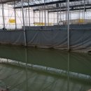 함박골낚시터 이미지