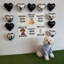 구암길 | 청주 애견카페 실내 실외 가능한 푸르댕댕 내돈내산 후기