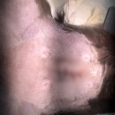 이지훈동물병원 이미지