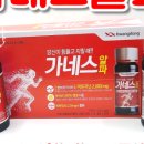 꿈꾸는비토