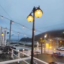 베베올레 이미지