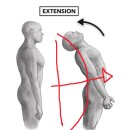 미래체육관 이미지