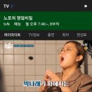 신프로