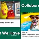 펫월드 이미지