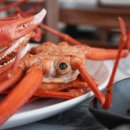 후포회대게 이미지