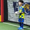 윈드폴 | 축구골기퍼장갑.어린이골기퍼장갑 &#39;윈드폴&#39;솔직한 후기
